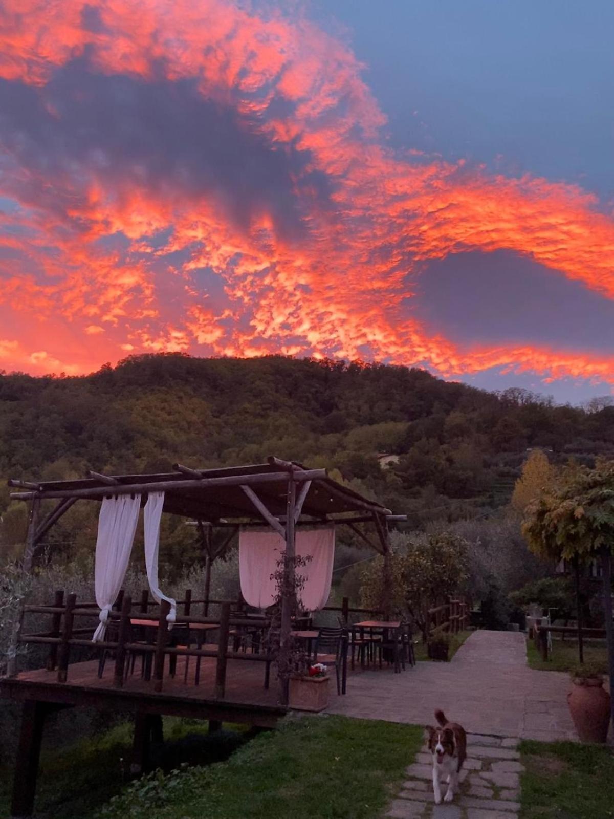 Вилла Agriturismo Ca Di Rossi Мулаццо Экстерьер фото