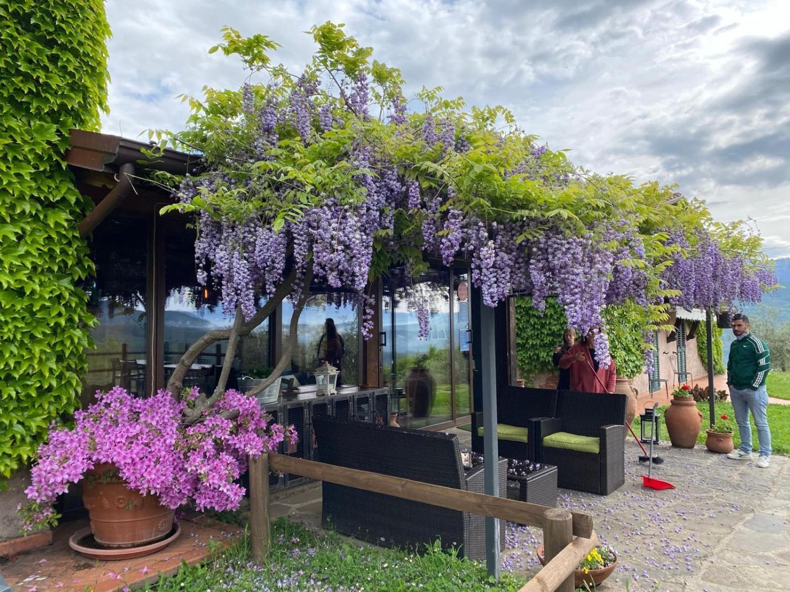 Вилла Agriturismo Ca Di Rossi Мулаццо Экстерьер фото