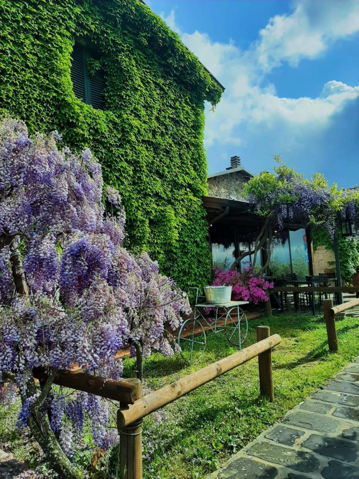 Вилла Agriturismo Ca Di Rossi Мулаццо Экстерьер фото